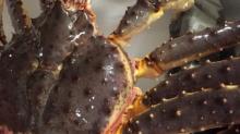 Red king crab/frozen king crab legs