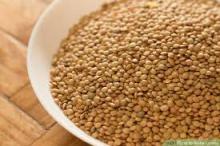 Lentils