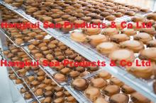 Dried African OR Atlantic  Abalone s