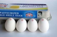 Pasteurized Shell Egg