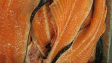 Salmon back bones, frozen salmon back bones