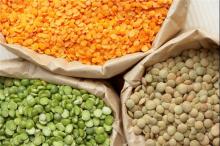Lentils