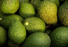 Fresh  Hass   Avocado 