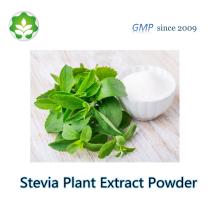 stevia powder extract p.e alternative for sugar