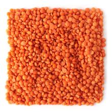 Red Lentils - GRADE A