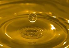 Sell Crude (unrefined) sunflower oil, from Ukraine