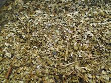  Yerba  mate picado 6