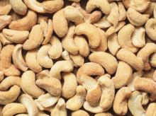 Cashew Nut