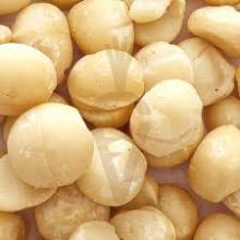 Raw Macadamia Nuts