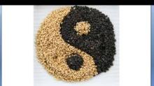  Organic   Sesame   Seeds  - White or Black