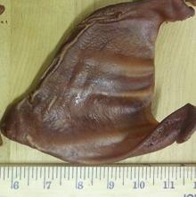 Dried  Pig   Ear s