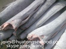frozen sailfish HGT 10-15kg on sale