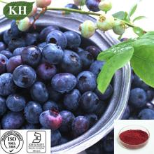 Supply 100% Natural  Blueberry  Extract