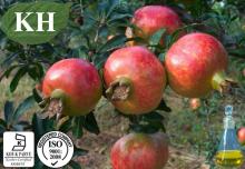 Natural Health Pomegranate Seed Oil Punicic Acid 65% Gc-Ms