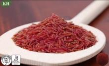 Natural Food Additives Red Yeast Rice Powder Monacolin