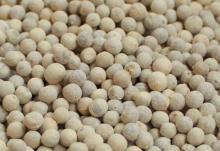 White Pepper