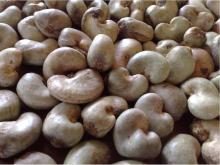  Raw   Cashew  Nuts