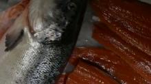 Fresh  frozen  quality  salmon 