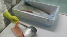 QUALITY SALMON FILLET, GUTTED SALMON HEAD
