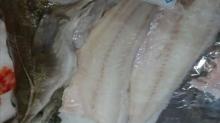 WHOLE  FROZEN   COD  FISH, COD  FILLET