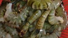 Tiger shrimp, pud shrimp