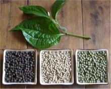 .Vietnam. Black Pepper Prices.