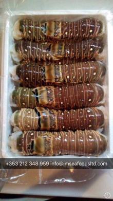 Lobster tails