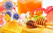 100% Natural Pure Herbal Honey from Bulgaria Ecological Regions High Quality