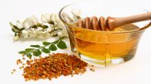 100% Natural Pure Acacia Honey from Bulgaria Ecological Regions High Quality