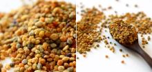 100% Natural Bulgarian Pure Bee Pollen High Quality