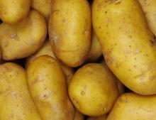 CHEAP QUALITY FRESH IRISH POTATOES FOR FAST SHIPMENT