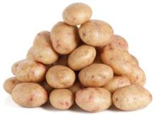 Holland Sweet Potato, -Fresh Potatoes for Sale / Fresh -Irish Potatoes