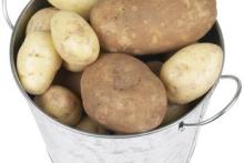 Holland Potato/yellow holland potato/Fresh Irish potatoes