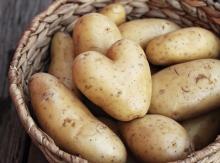 Best Quality Fresh Irish Potatoes--