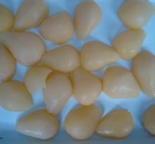 Delicious  Canned  Pear in  Syrup  dice/piece/halves