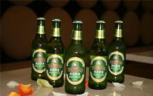 tsingtao beer