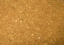 MEAT CUM BONE MEAL