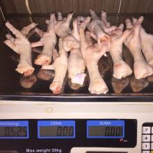 Grade A Frozen Chicken Feet