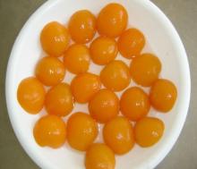  canned   apricot  halve