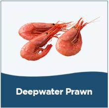 Deepwater Prawn,frozen mackerel fish, frozen horse mackerel fish, frozen hake fish, frozen red seabr