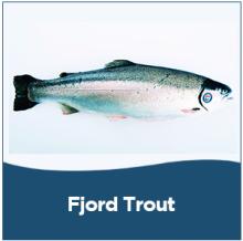 Trout,COD,frozen mackerel fish, frozen horse mackerel fish, frozen hake fish, frozen red seabream fi