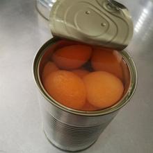 Gloden Sun 3000g canned apricot in light syrup or natural juice