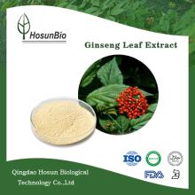 Ginseng leaf and stem extract ginsenoside UV 80% powder ginseng extract