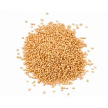  Amaranth 