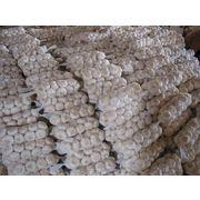 Fresh pure White Garlic