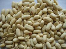  BLANCHED   PEANUT   KERNEL S LONG SHAPE