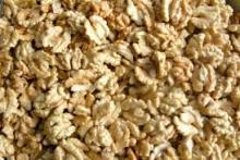 Walnut & Walnut Kernel