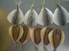 Dried  yellow   stripe  trevally fillet