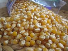 Yellow Corn