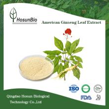 Wholesale low pesticide residue ginsenoside 1%-8% UV powder american ginseng leaf extract